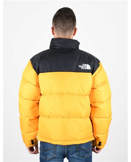 THE NORTH FACE NF0A3C8D56P