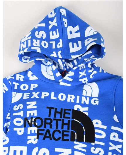THE NORTH FACE NF0A33H4T4S1